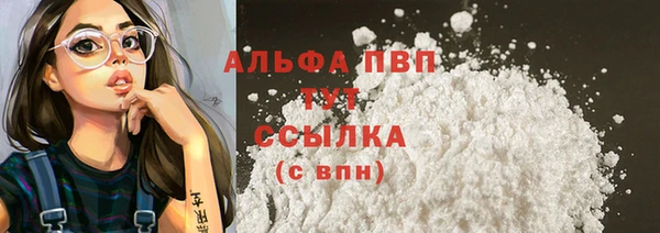 первитин Богданович